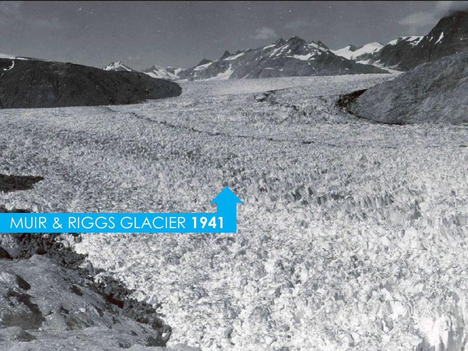 MUIR & RIGGS GLACIER 1941