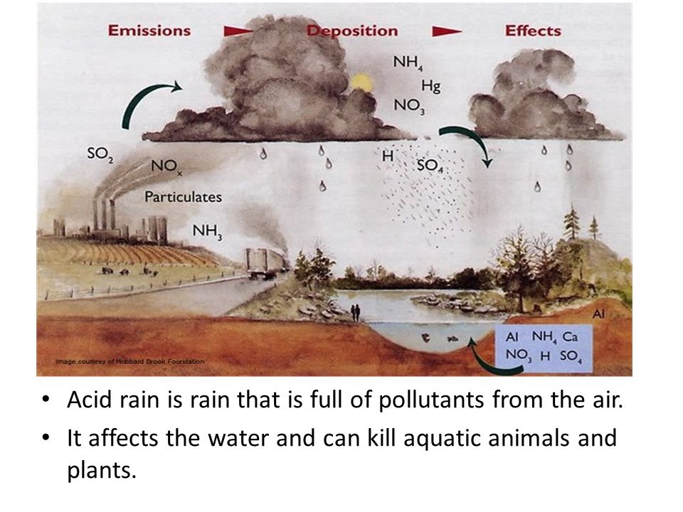 Acid rain is rain that is full of pollutants from the air.