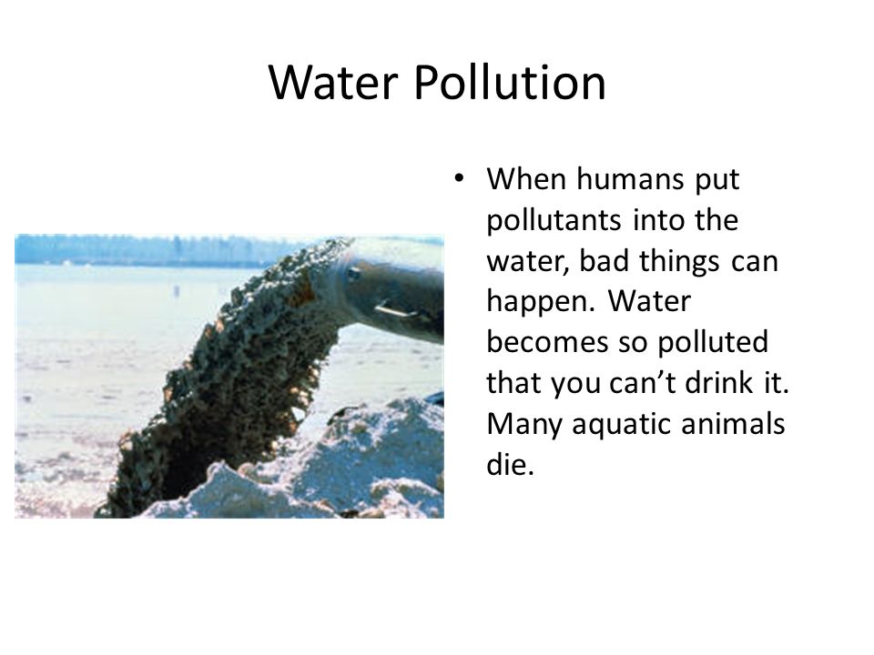 Water Pollution When humans put pollutants into the water, bad things can happen.