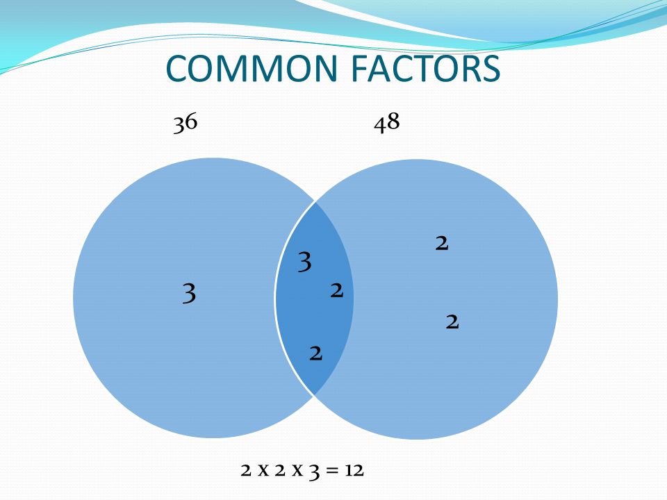 COMMON FACTORS x 2 x 3 =