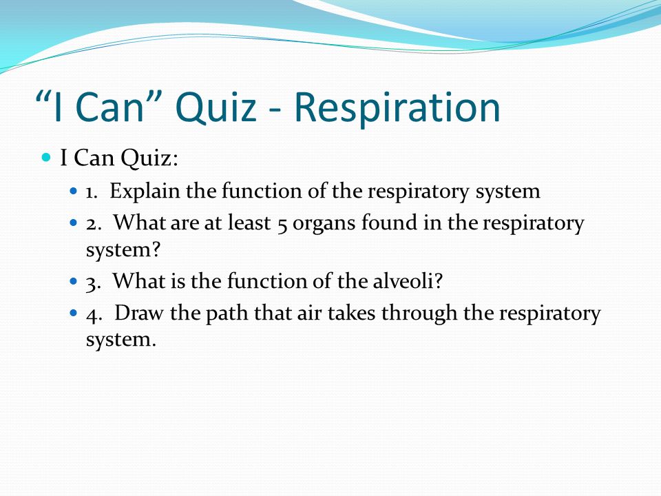 I Can Quiz - Respiration I Can Quiz: 1. Explain the function of the respiratory system 2.