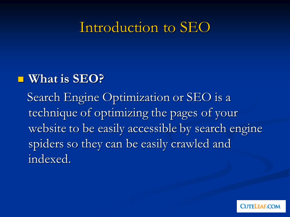 Introduction to SEO What is SEO. What is SEO.