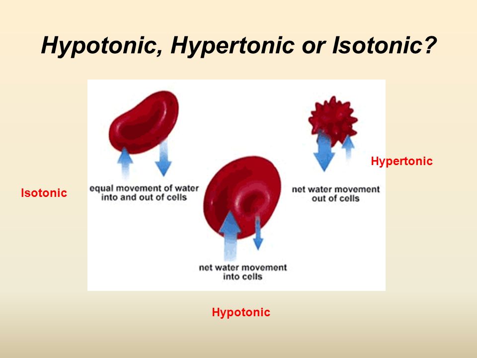 Movement Through The Membrane Section 7 3 Learning Objectives 1 67 Hypotonic Hypertonic Or Isotonic