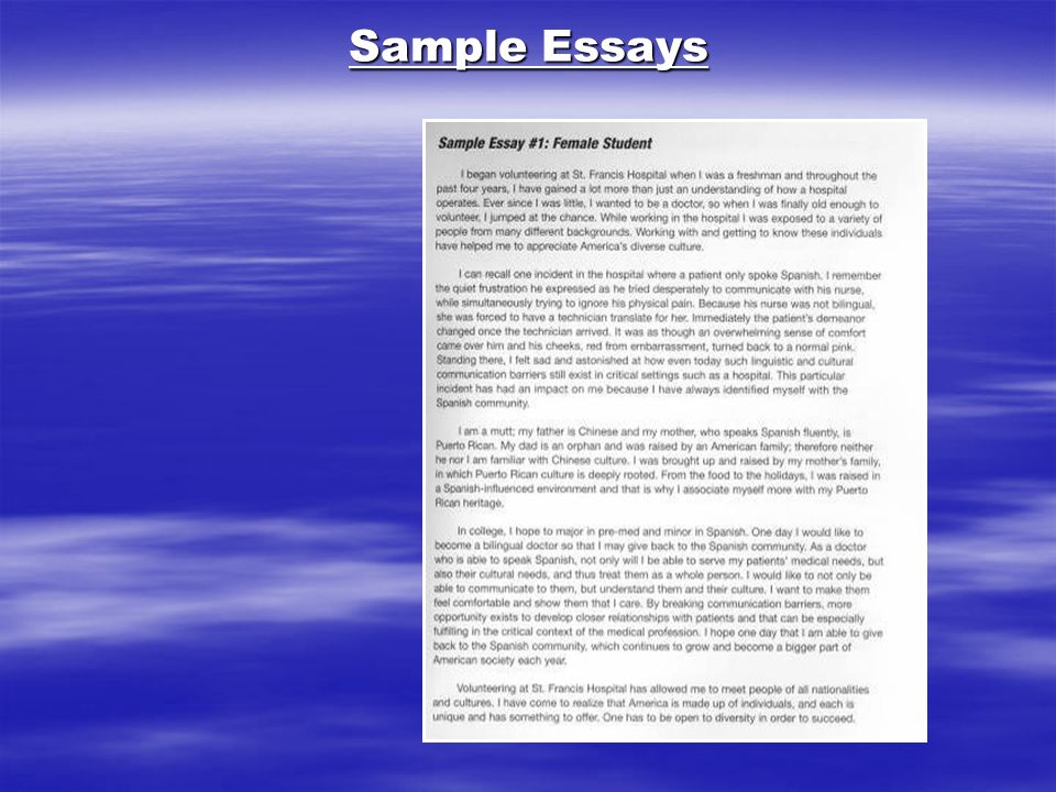 sampl essays sampl essays
