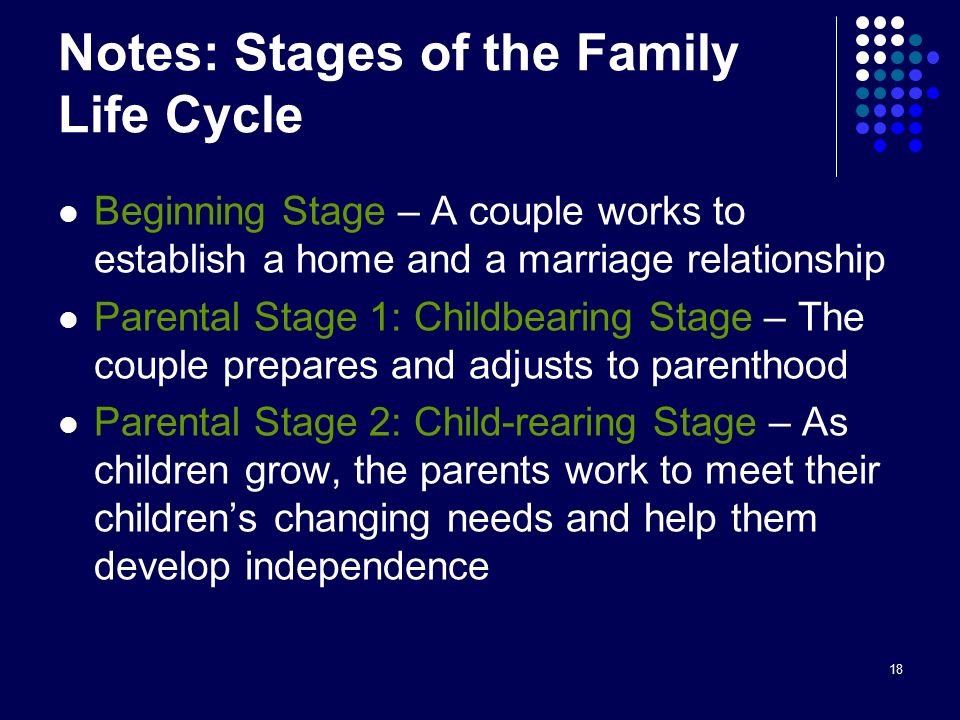 18 Notes: Stages of the Family Life Cycle Beginning Stage – A couple works to establish a home and a marriage relationship Parental Stage 1: Childbearing Stage – The couple prepares and adjusts to parenthood Parental Stage 2: Child-rearing Stage – As children grow, the parents work to meet their children’s changing needs and help them develop independence