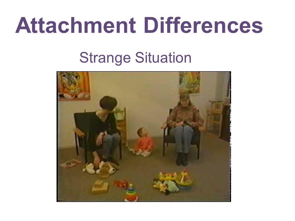 Attachment Differences Strange Situation
