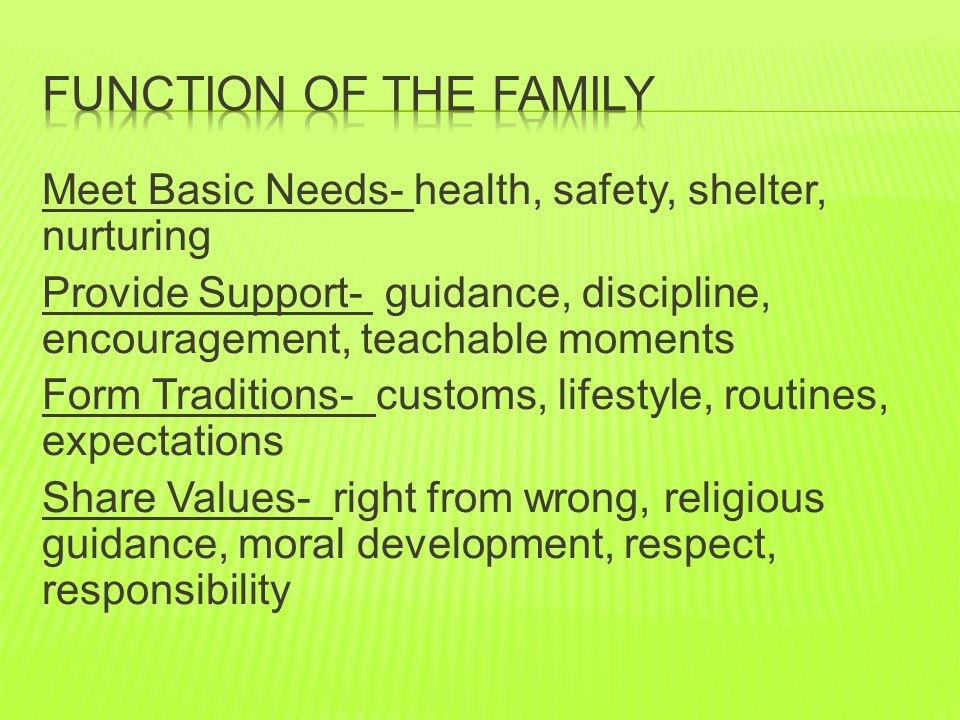 Meet Basic Needs- health, safety, shelter, nurturing Provide Support- guidance, discipline, encouragement, teachable moments Form Traditions- customs, lifestyle, routines, expectations Share Values- right from wrong, religious guidance, moral development, respect, responsibility