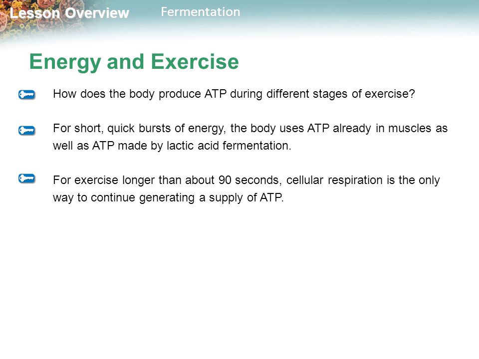 Chemical Equation For Lactic Acid Fermentation Talkchannels Lesson Overview Overviewfermentation 9 3