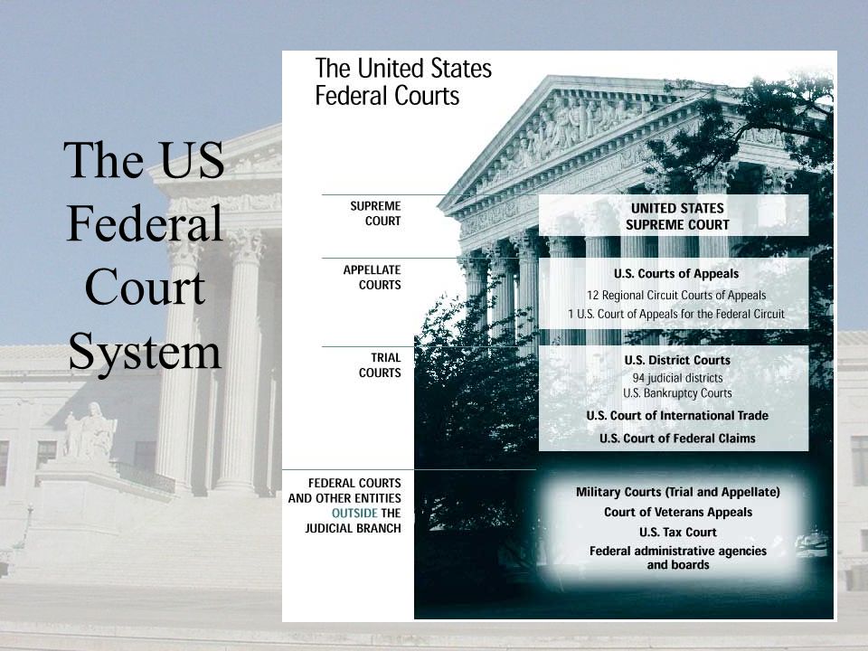 The US Federal Court System
