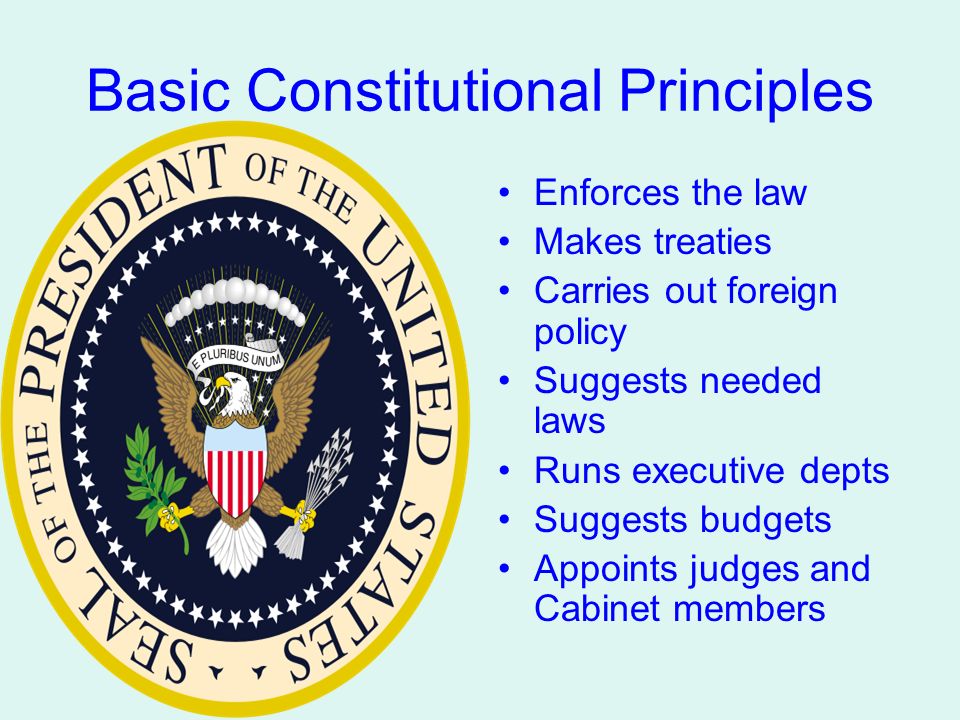 Basic Constitutional Principles Enforces the law Makes treaties Carries out foreign policy Suggests needed laws Runs executive depts Suggests budgets Appoints judges and Cabinet members