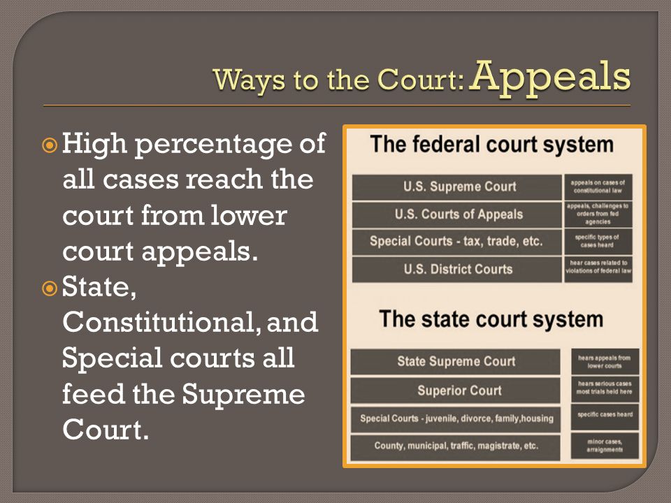  High percentage of all cases reach the court from lower court appeals.