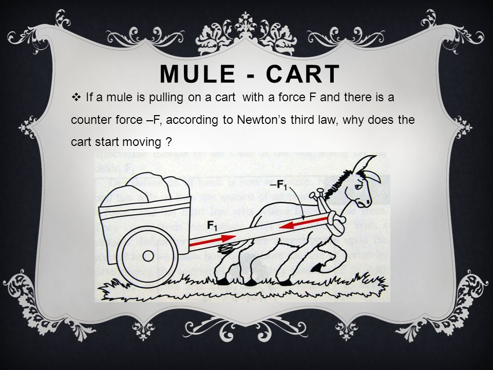 MULE - CART  If a mule is pulling on a cart with a force F and there is a counter force –F, according to Newton’s third law, why does the cart start moving