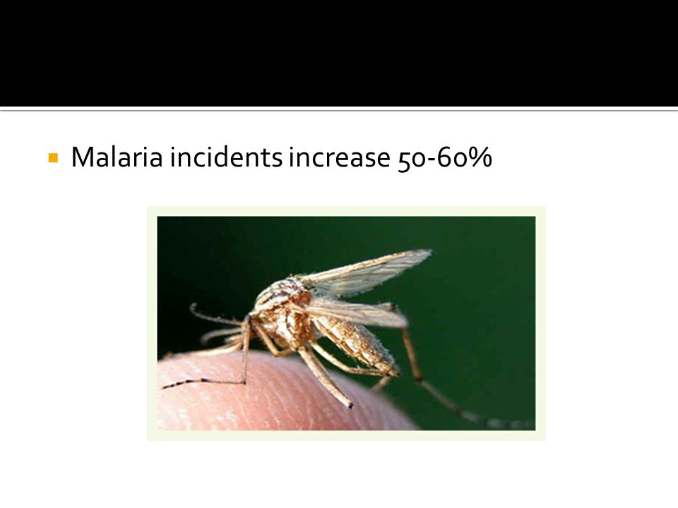  Malaria incidents increase 50-60%