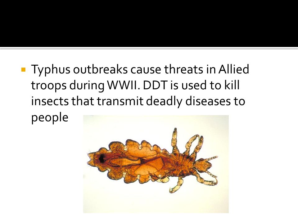  Typhus outbreaks cause threats in Allied troops during WWII.
