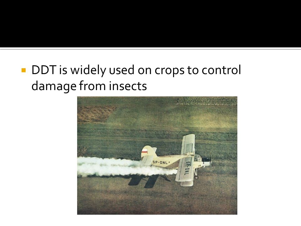 DDT is widely used on crops to control damage from insects