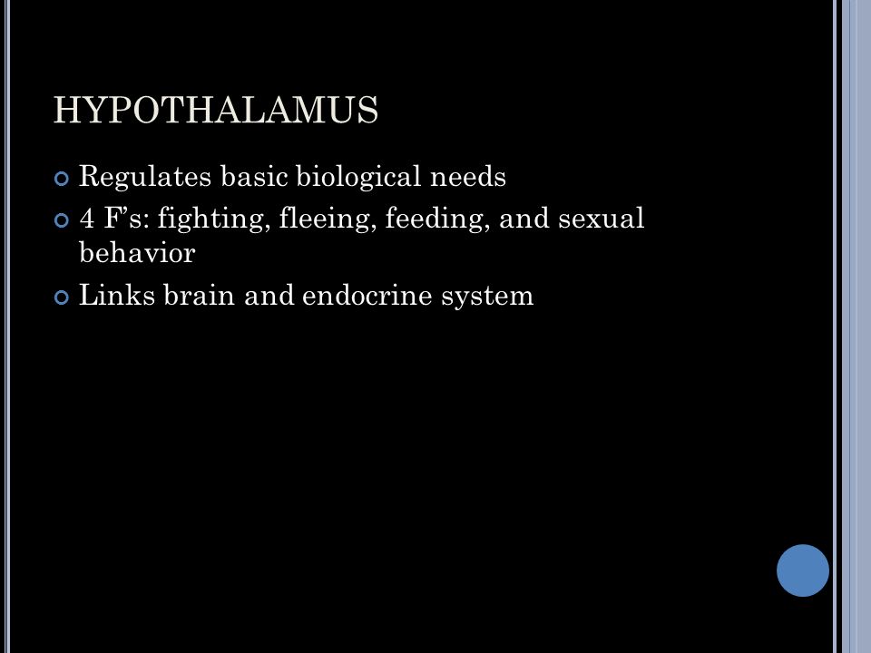 HYPOTHALAMUS Regulates basic biological needs 4 F’s: fighting, fleeing, feeding, and sexual behavior Links brain and endocrine system