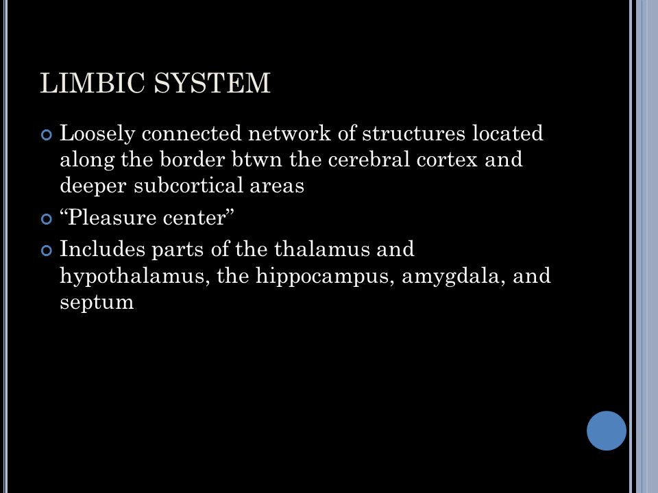LIMBIC SYSTEM Loosely connected network of structures located along the border btwn the cerebral cortex and deeper subcortical areas Pleasure center Includes parts of the thalamus and hypothalamus, the hippocampus, amygdala, and septum