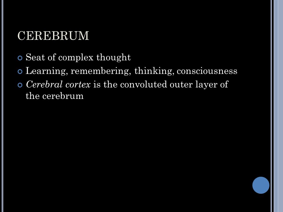 CEREBRUM Seat of complex thought Learning, remembering, thinking, consciousness Cerebral cortex is the convoluted outer layer of the cerebrum