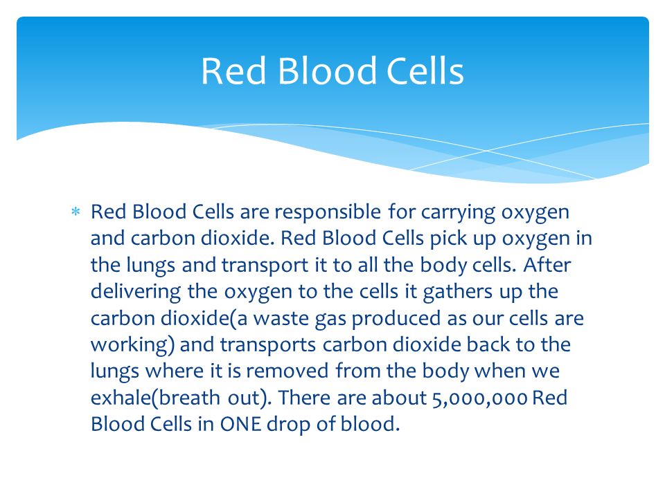 Red Blood Cells  Red Blood Cells are responsible for carrying oxygen and carbon dioxide.