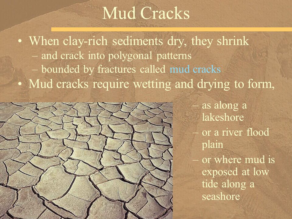 sedimentary rocks the archives of earth history chapter ppt download mudcracks can form in what kind of sediment
