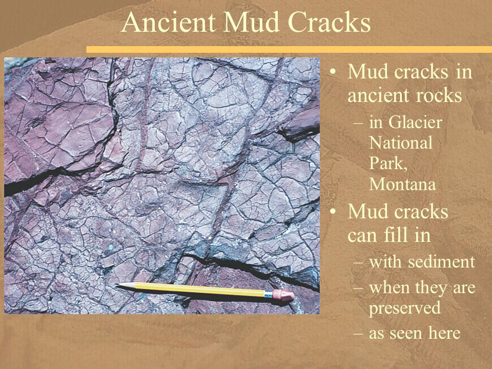 sedimentary rocks the archives of earth history chapter ppt download mudcracks can form in what kind of sediment