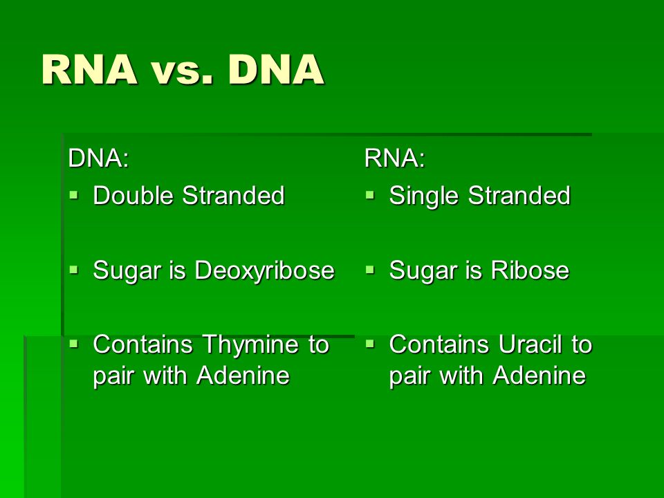 RNA vs.
