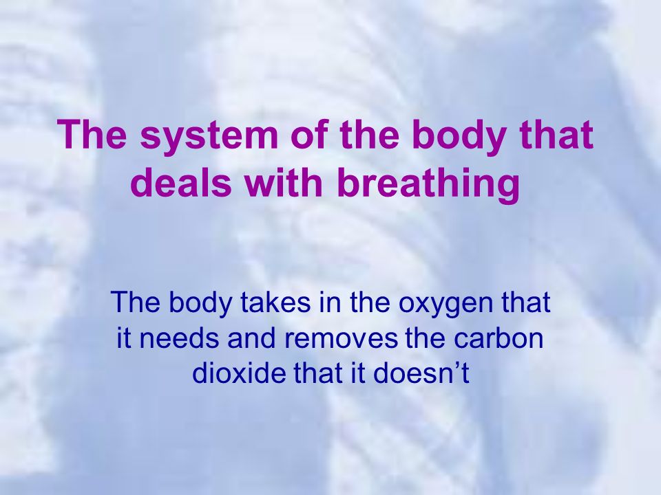 The system of the body that deals with breathing The body takes in the oxygen that it needs and removes the carbon dioxide that it doesn’t