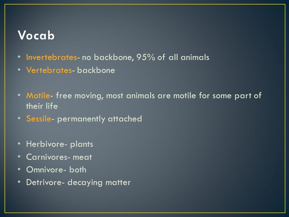 Invertebrates- no backbone, 95% of all animals Vertebrates- backbone Motile- free moving, most animals are motile for some part of their life Sessile- permanently attached Herbivore- plants Carnivores- meat Omnivore- both Detrivore- decaying matter