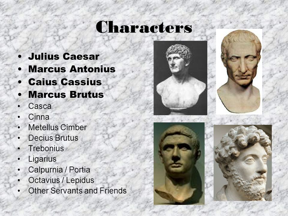 Essay On Julius Caesar