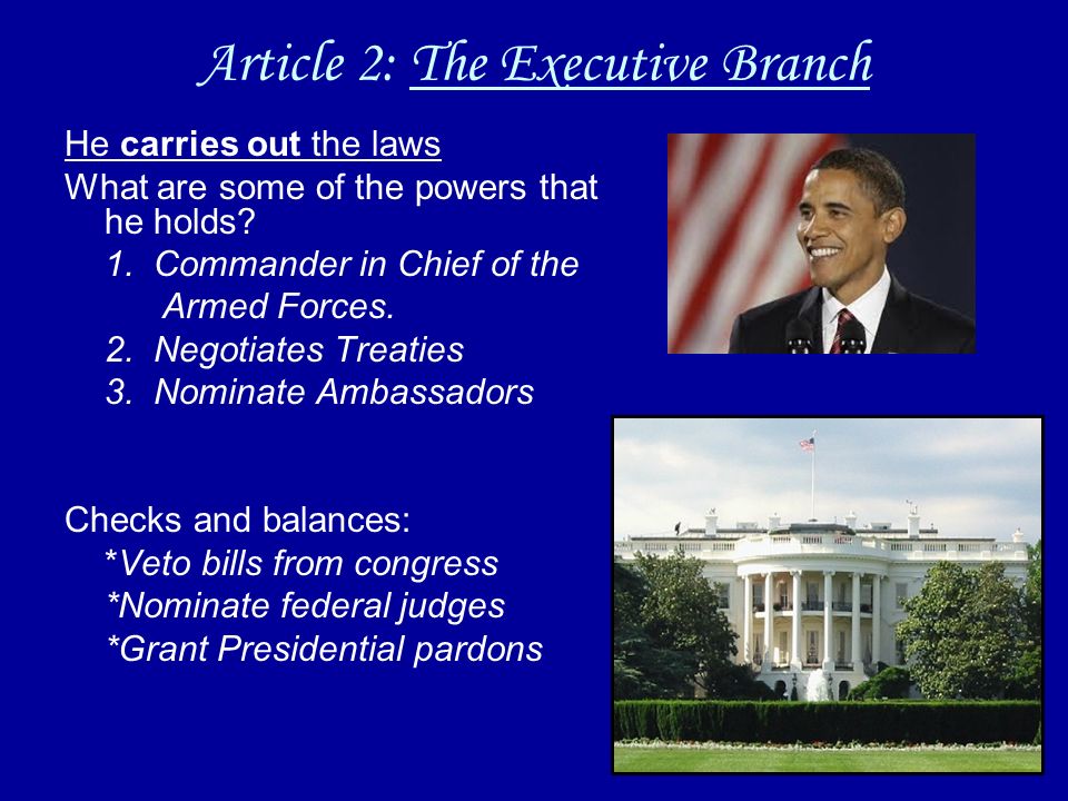 Article 2: The Executive Branch He carries out the laws What are some of the powers that he holds.