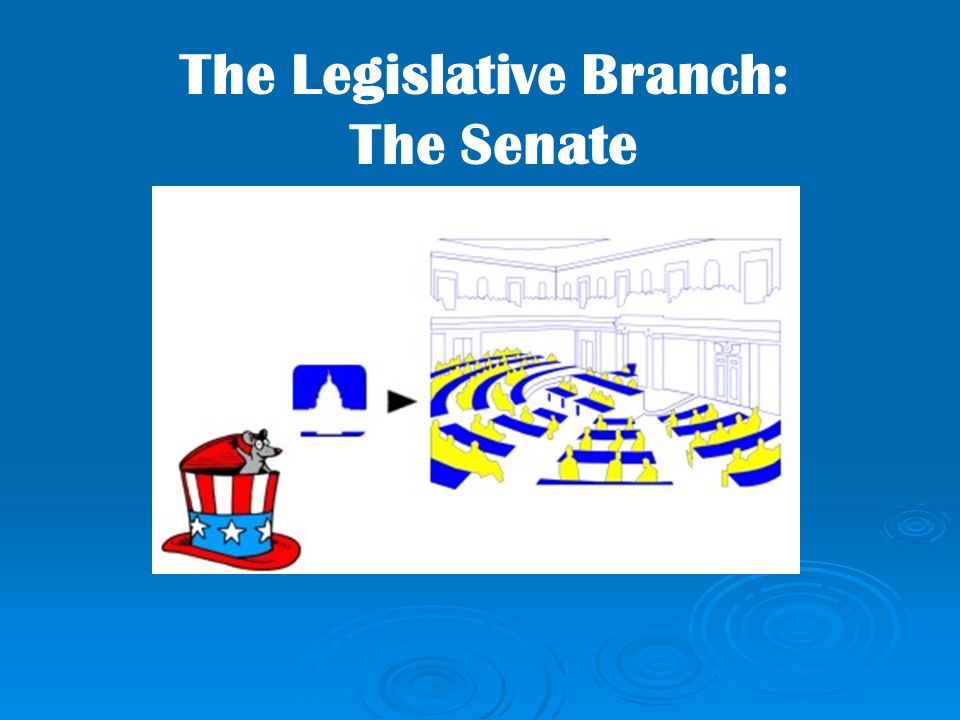 The Legislative Branch: The Senate