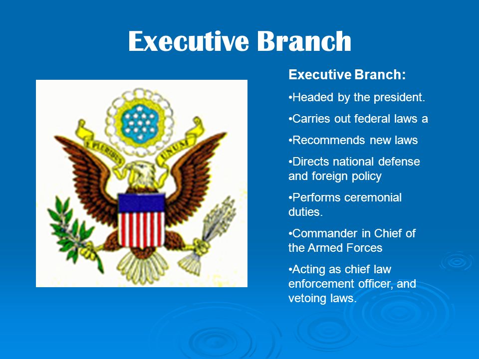 Executive Branch: Headed by the president.