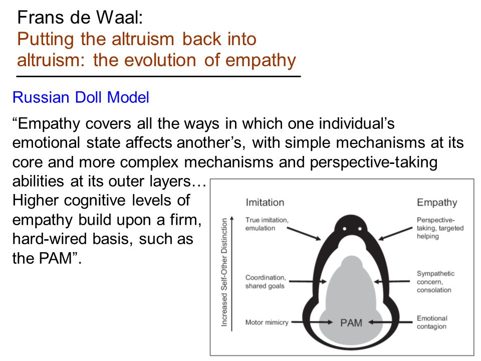 Frans De Waal De Waal On ABC De Waal On Ted. Reciprocity Empathy - 960x720 - jpeg Evolution Of Empathy