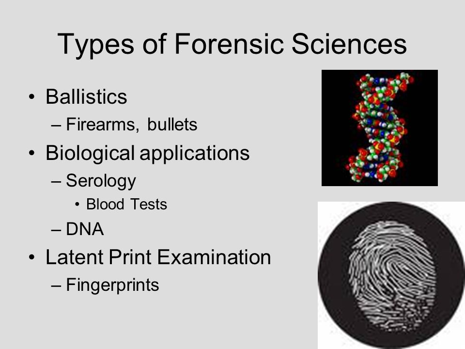 forensic science case studies found Paper, a sensational case in the history of rajasthan forensic science, in which four members of a family were found, died at their residence primarily, police was under dilemma that the family members were committed suicide or the incident was manipulated b y the criminal ie they registered the case under 174 crpc. forensic science case studies found Paper, a sensational case in the history of rajasthan forensic science, in which four members of a family were found, died at their residence primarily, police was under dilemma that the family members were committed suicide or the incident was manipulated b y the criminal ie they registered the case under 174 crpc.