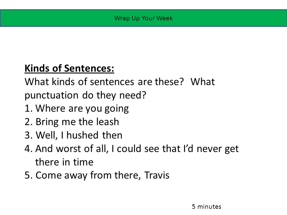 Wrap Up Your Week Kinds of Sentences: What kinds of sentences are these.