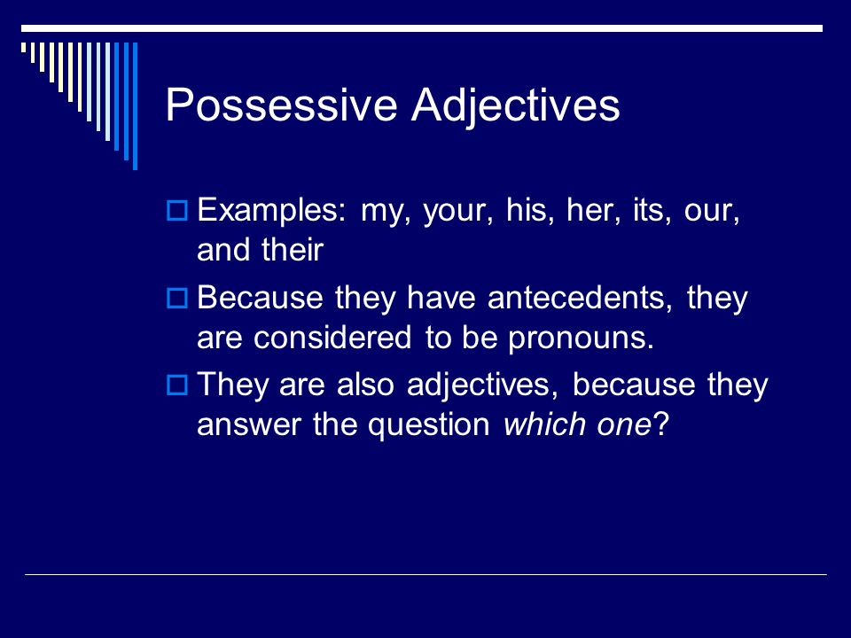 Possessive Adjectives  Examples: my, your, his, her, its, our, and their  Because they have antecedents, they are considered to be pronouns.