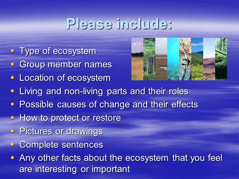 Please include:  Type of ecosystem  Group member names  Location of ecosystem  Living and non-living parts and their roles  Possible causes of change and their effects  How to protect or restore  Pictures or drawings  Complete sentences  Any other facts about the ecosystem that you feel are interesting or important