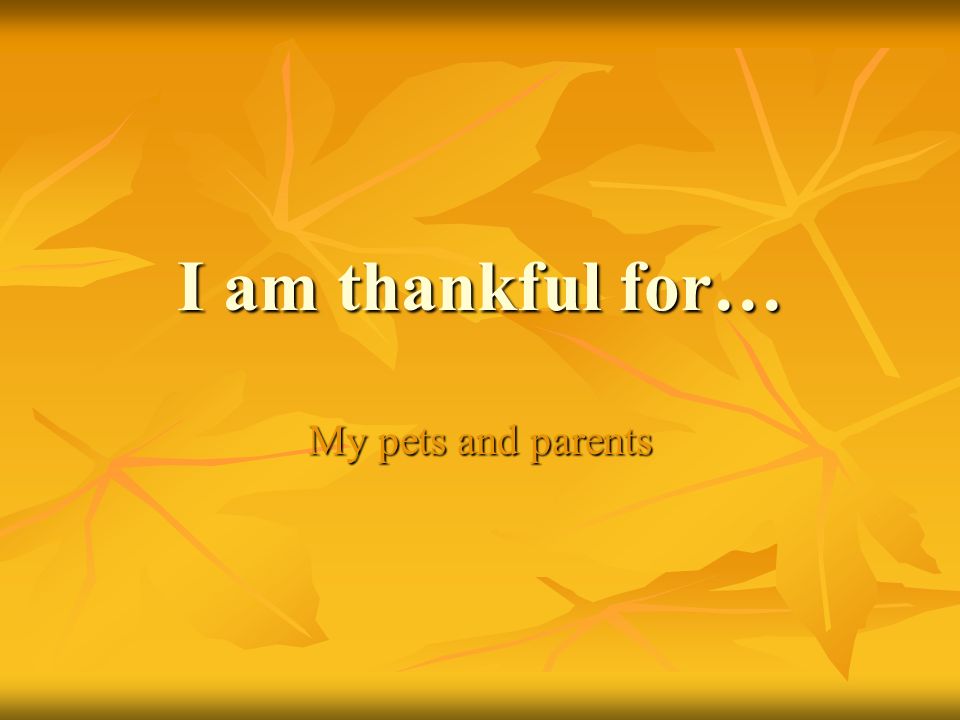 I am thankful for… My pets and parents
