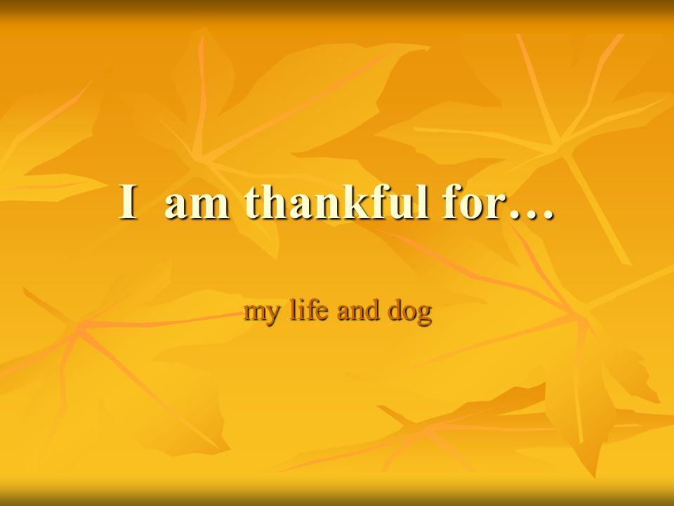 I am thankful for… my life and dog