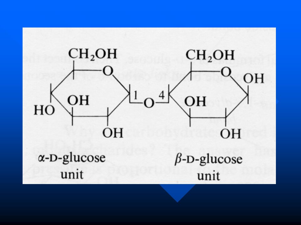 structure function of cell components living things are made of two monosaccharides join to form a