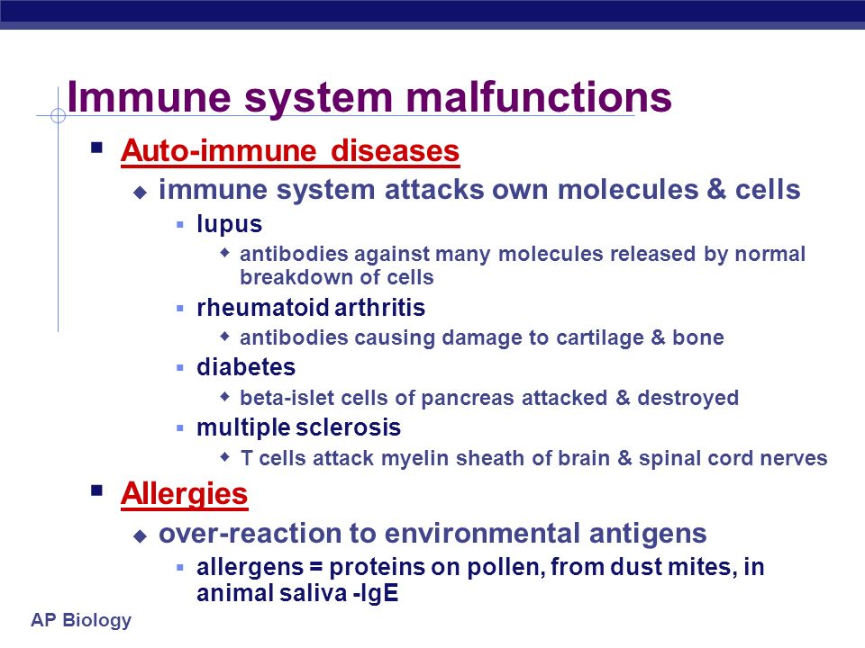 essay on arthritis essay on arthritis