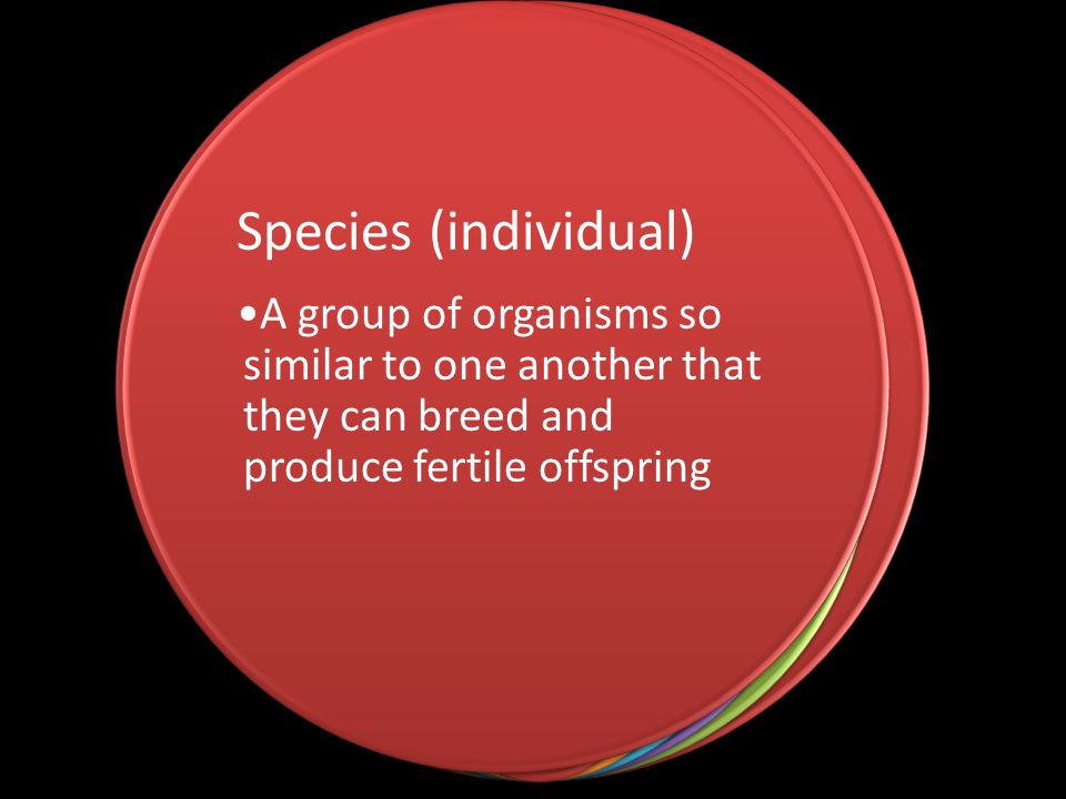 Biosphere Biome Ecosystem Community Population Species A group of organisms so similar to one another that they can breed and produce fertile offspring