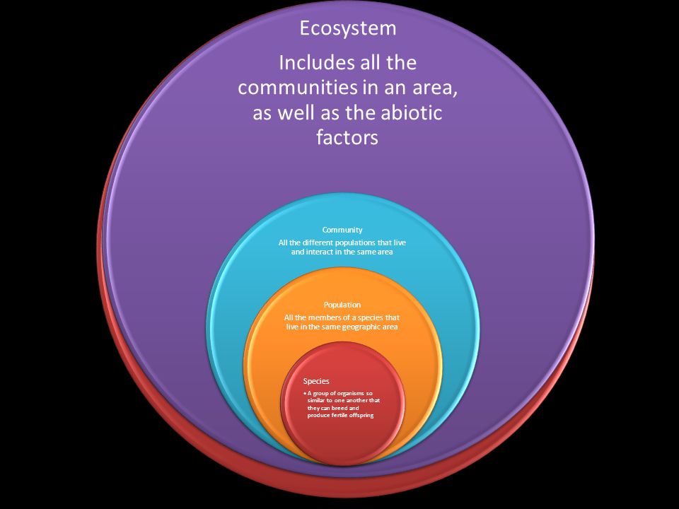 Biosphere Biome Ecosystem Includes all the communities in an area, as well as the abiotic factors Community All the different populations that live and interact in the same area Population All the members of a species that live in the same geographic area Species A group of organisms so similar to one another that they can breed and produce fertile offspring