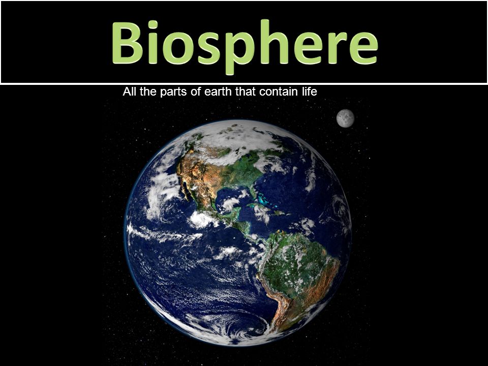 Biosphere All the parts of the earth that contain and support life Biome climatically and geographically defined as similar climatic conditions on the Earth Ecosystem Includes all the communities in an area, as well as the abiotic factors Community All the different populations that live and interact in the same area Population All the members of a species that live in the same geographic area Species A group of organisms so similar to one another that they can breed and produce fertile offspring