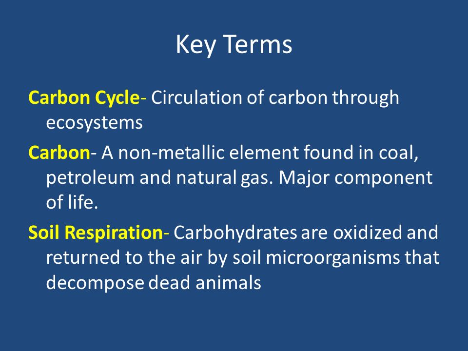 Key Terms Carbon Cycle- Circulation of carbon through ecosystems Carbon- A non-metallic element found in coal, petroleum and natural gas.