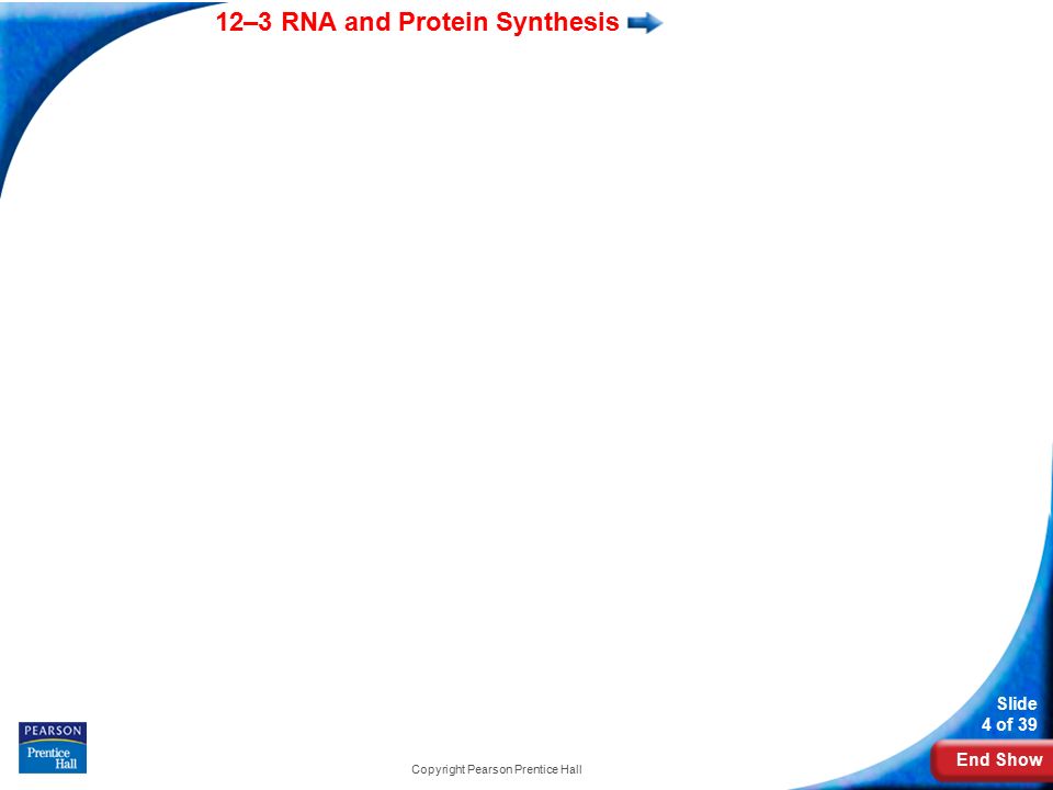 End Show 12–3 RNA and Protein Synthesis Slide 4 of 39 Copyright Pearson Prentice Hall