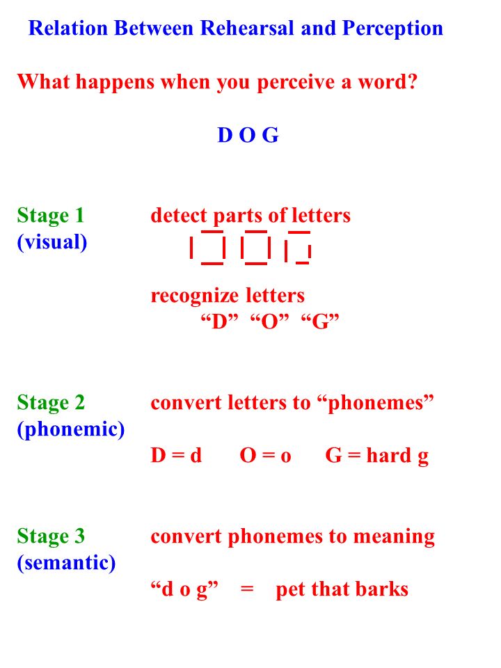 relationship between rehearsal and repetition 1993 ap psychology free-response question 1 design and describe an experiment to measure the relationship between rehearsal/repetition of a list of words. relationship between rehearsal and repetition 1993 ap psychology free-response question 1 design and describe an experiment to measure the relationship between rehearsal/repetition of a list of words.