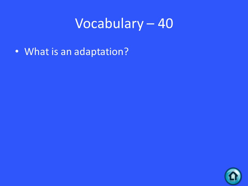 Vocabulary – 40 What is an adaptation