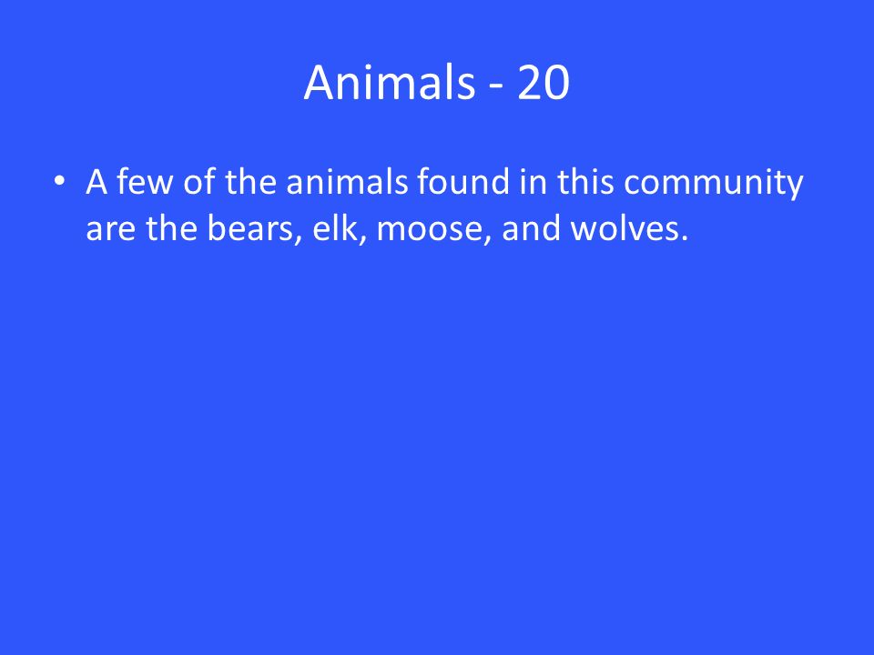 Animals - 20 A few of the animals found in this community are the bears, elk, moose, and wolves.
