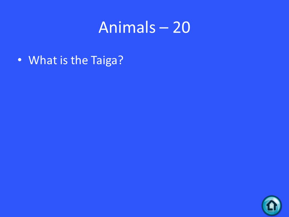 Animals – 20 What is the Taiga